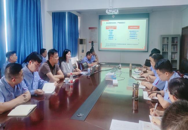 軸研所黨委副書記、紀委書記江瑋到銷售公司調(diào)研并講授黨紀專題黨課